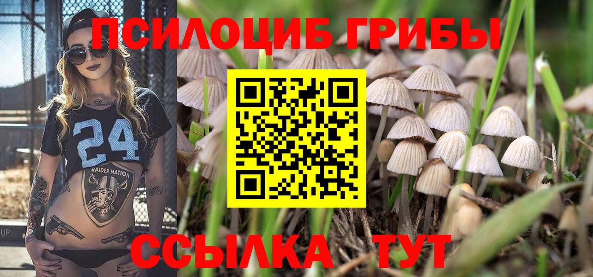 Псилоцибиновые грибы мухоморы Каменск-Уральский