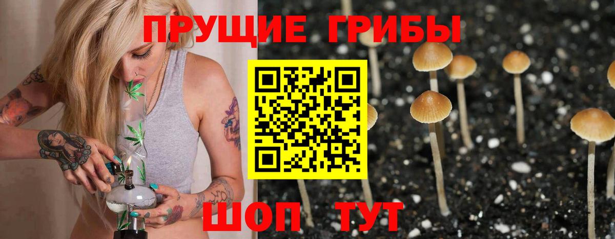 Галлюциногенные грибы прущие грибы  Вход с VPN  Псилоцибиновые грибы Psilocybine cubensis  Каменск-Уральский 